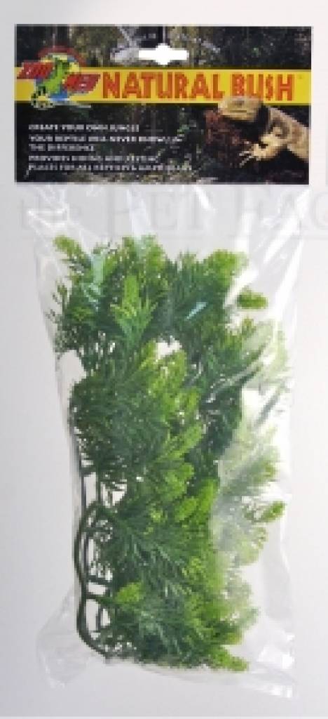 Medium Malaysian Fern 46 cm